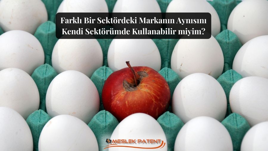 Farklı Sekt&ouml;rde Aynı Markayı Kullanmak