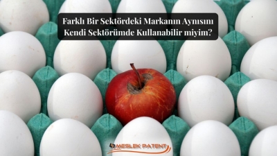 Farklı Sekt&ouml;rde Aynı Markayı Kullanmak